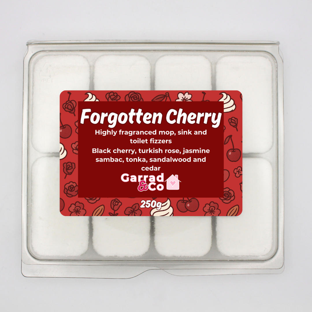 Designer Inspired mop, sink and toilet fizzers