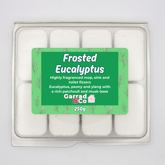 Mop, sink and toilet fizzers