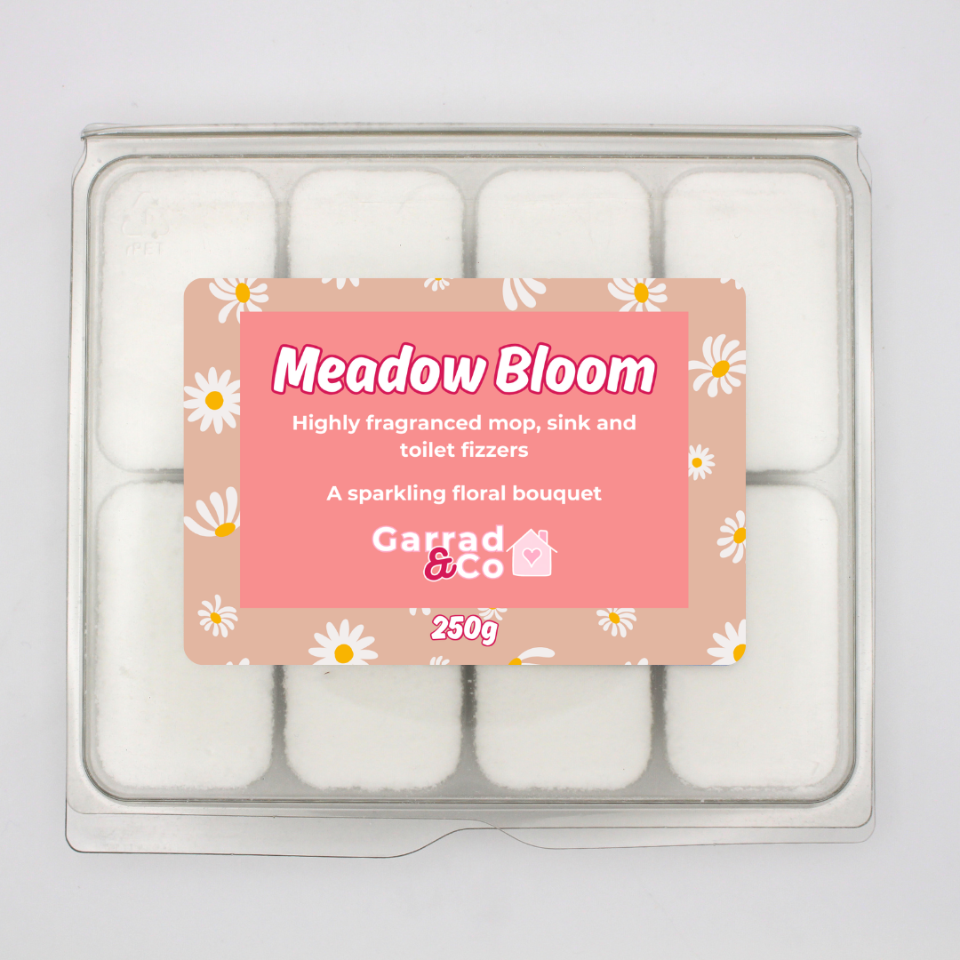 Designer Inspired mop, sink and toilet fizzers