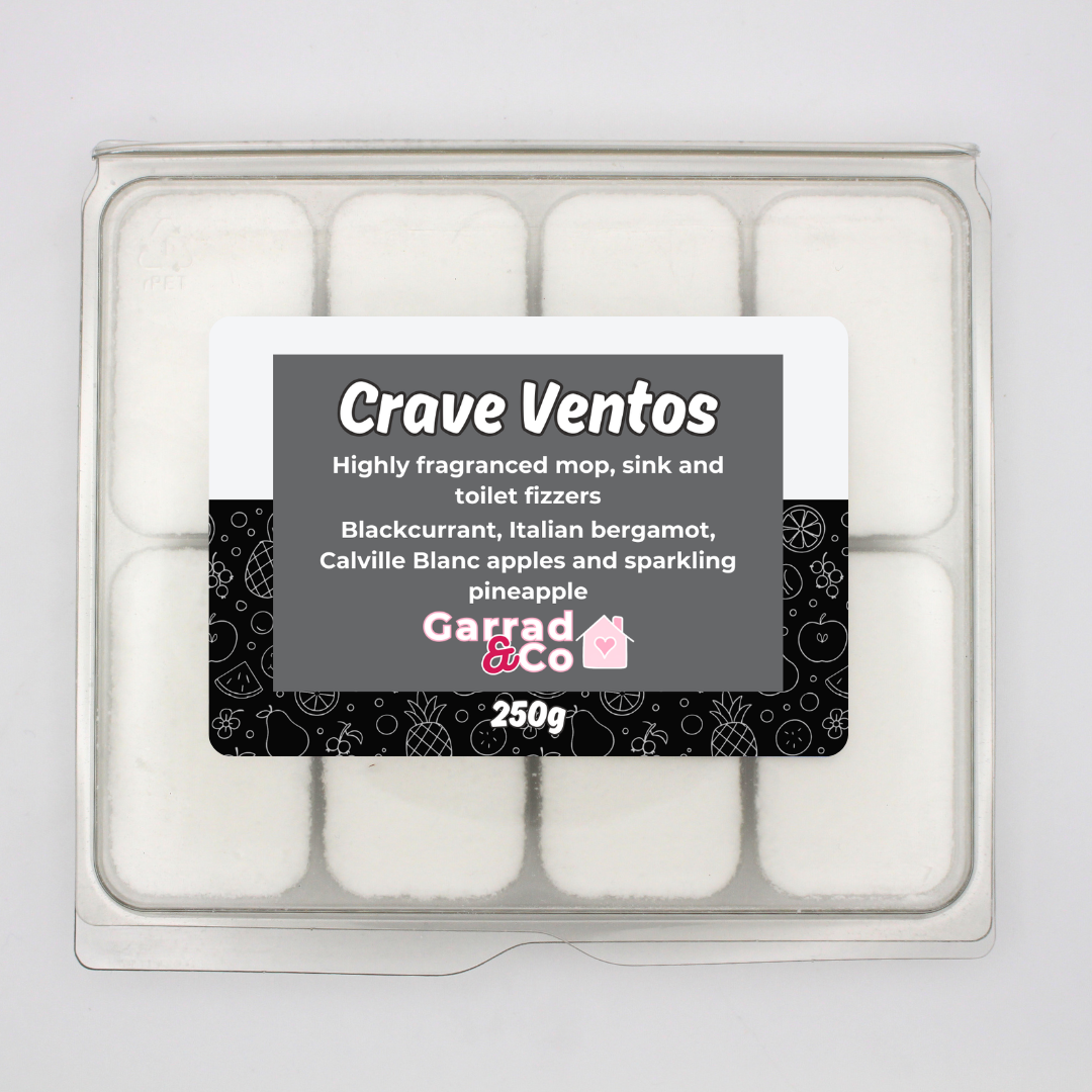 Designer Inspired mop, sink and toilet fizzers