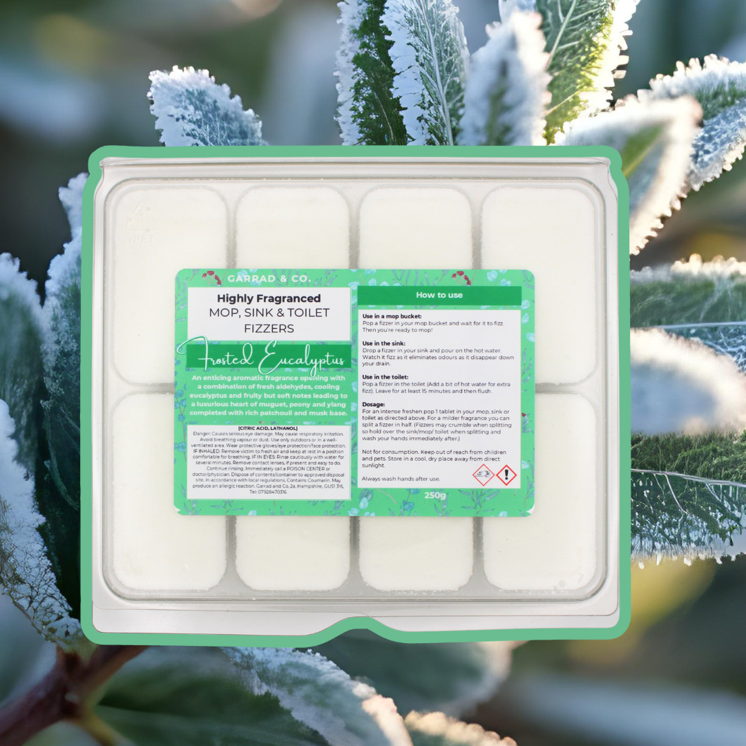 Frosted Eucalyptus Mop, Sink and Toilet Fizzers
