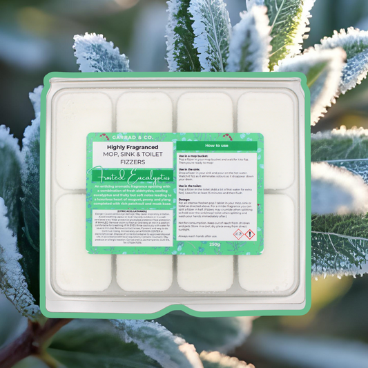 Frosted Eucalyptus Mop, Sink and Toilet Fizzers