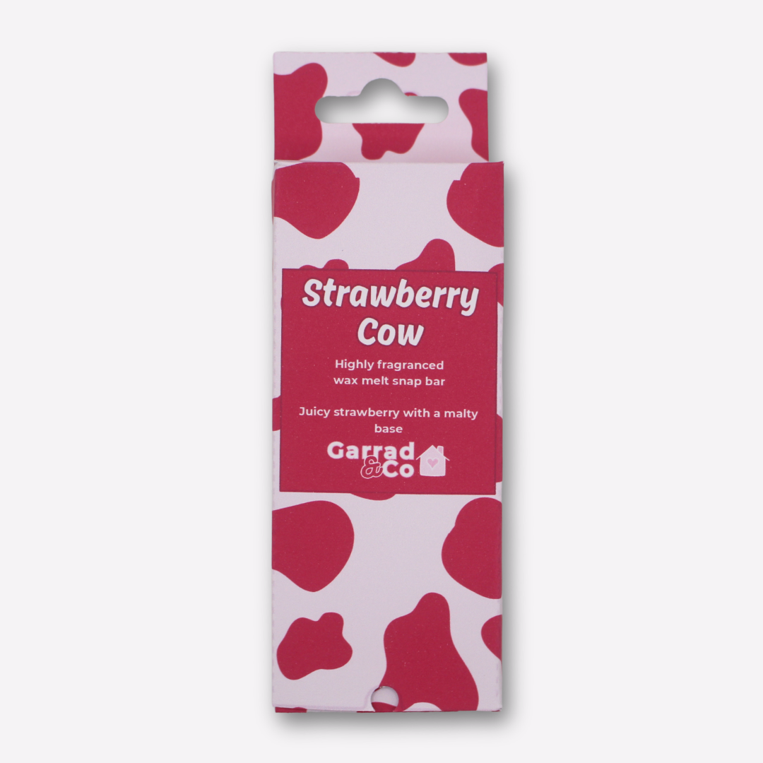 Wax Melt Snap Bars 50g